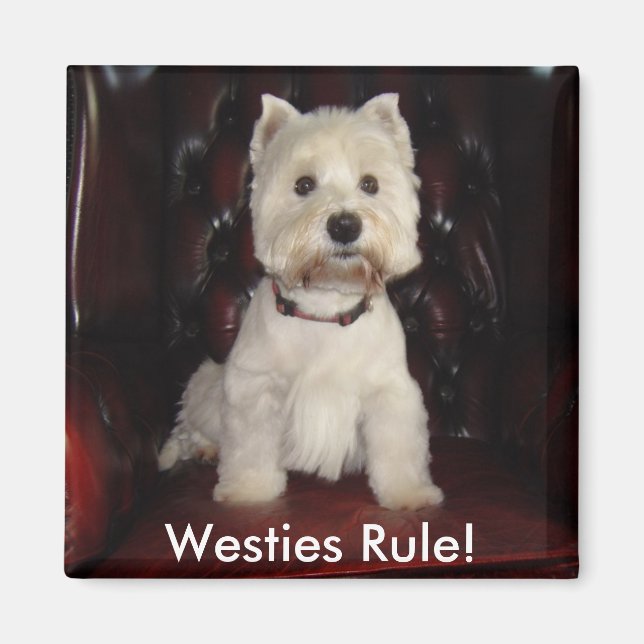 Hamish McTavish Westies Rule Kühlschrankmagnet Magnet (Vorne)