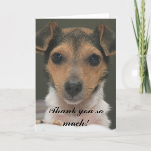 Hamlin - Vielen Dank! Dankeskarte