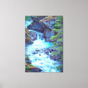 Hamma Hamma Creek Leinwanddruck