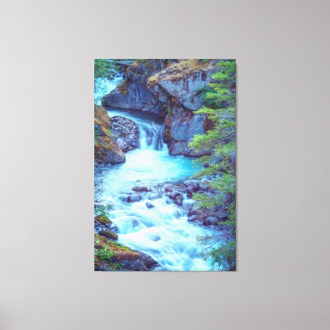 Hamma Hamma Creek Leinwanddruck (Vorderseite)