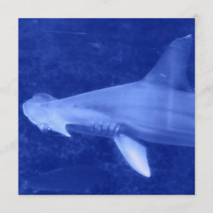 Hammerhai-Haifisch-Einladungen Einladung