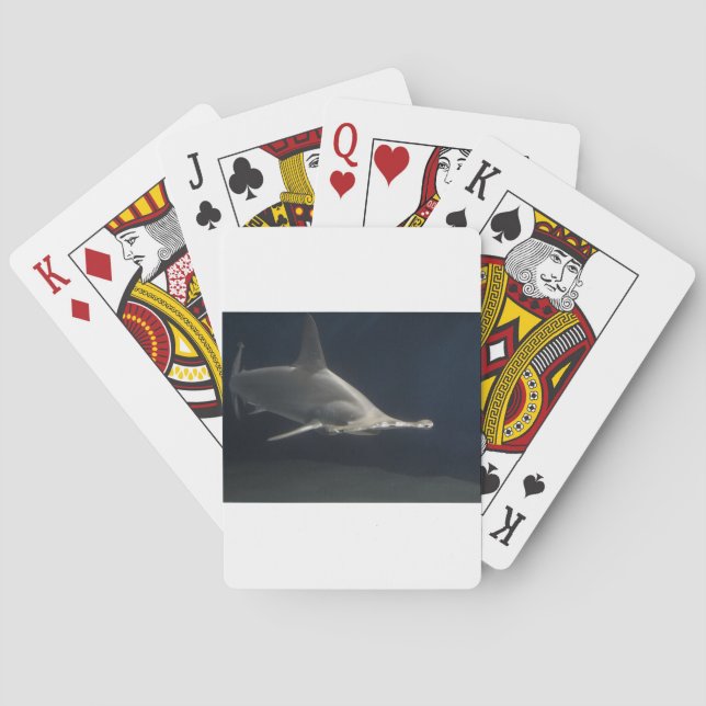 Hammerhai-Haifisch Spielkarten (Rückseite)