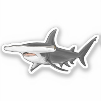 Hammerhead Shark Aufkleber