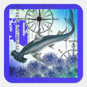 Hammerhead Shark Nautical Collage Underwater Blue Quadratischer Aufkleber