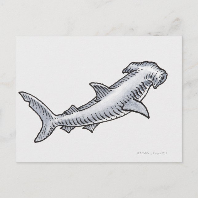 Hammerhead Shark Postkarte (Vorderseite)