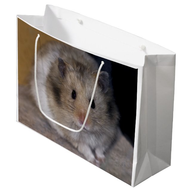 Hammie Geschenk-Tasche Große Geschenktüte (Vorderseite Schrägansicht)