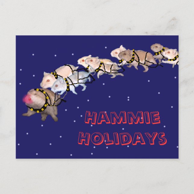 Hammie Holidays Feiertagspostkarte (Vorderseite)