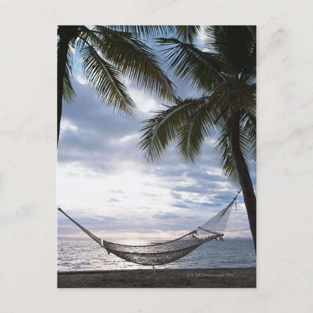 Hammock Postkarte (Vorderseite)