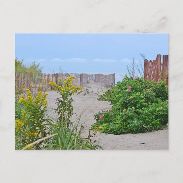 Hammonasset Beach Postcard Postkarte (Vorderseite)