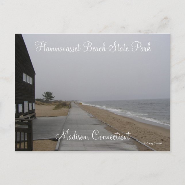 Hammonasset Beach Staat Park Postkarte (Vorderseite)