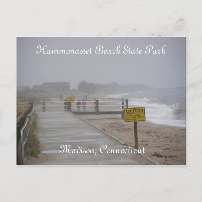Hammonasset Beach Staat Park Postkarte (Vorderseite)