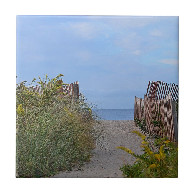 Hammonasset Beach Tile Fliese (Vorderseite)