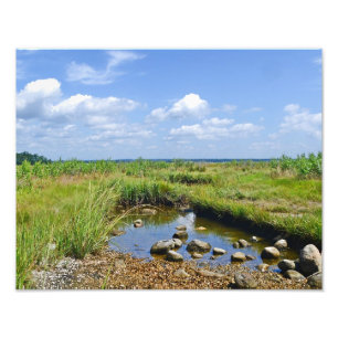 Hammonasset Marsh Foto Print