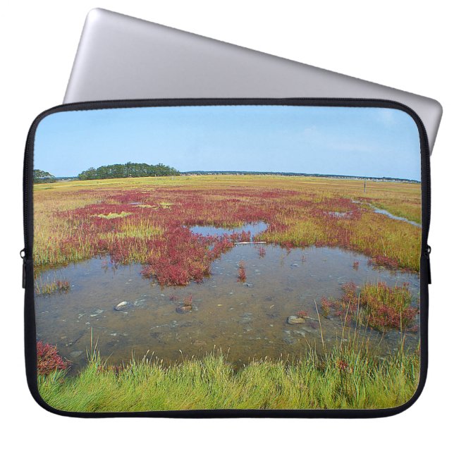 Hammonasset Marsh Laptop Sleeve (Vorderseite)