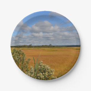 Hammonasset Marsh Paper Plate Pappteller