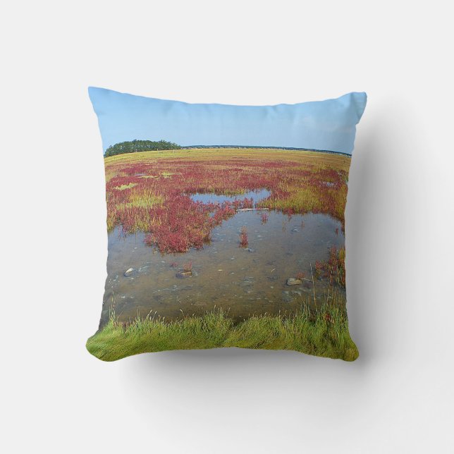 Hammonasset Marsh Pillow Kissen (Vorderseite)