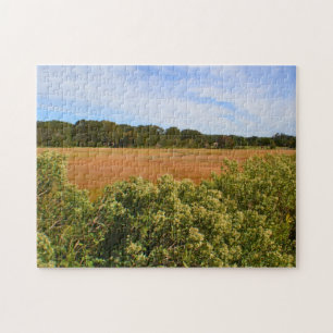 Hammonasset Marsh Puzzle