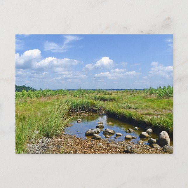 Hammonasset Postcard Postkarte (Vorderseite)