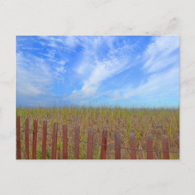 Hammonasset Postcard Postkarte (Vorderseite)