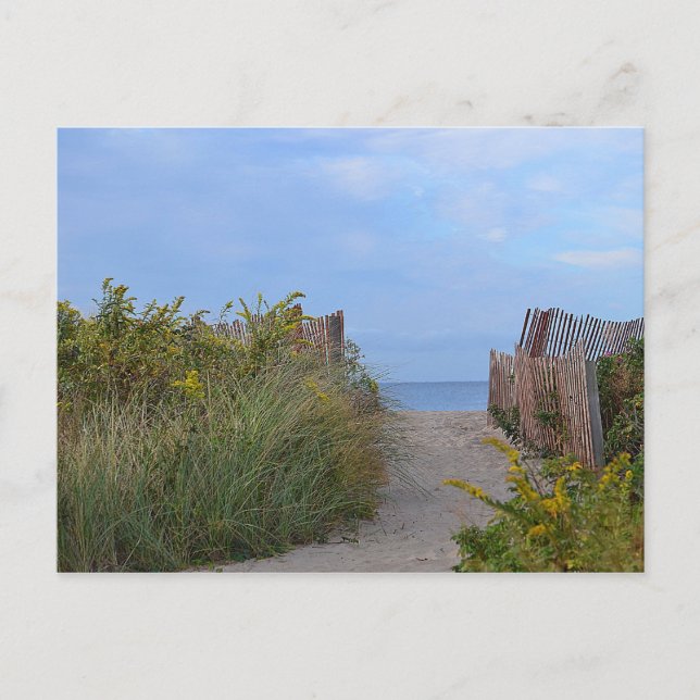 Hammonasset Postcard Postkarte (Vorderseite)