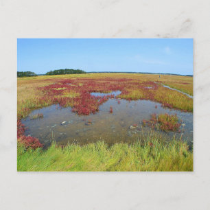 Hammonasset Postcard Postkarte