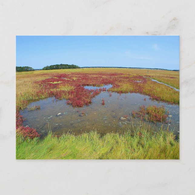 Hammonasset Postcard Postkarte (Vorderseite)