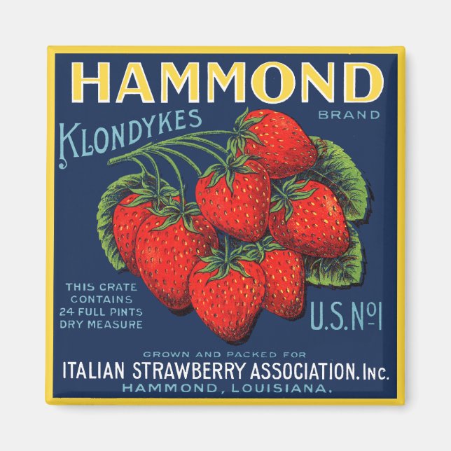 Hammond Klondykes Strawberries Magnet (Vorne)