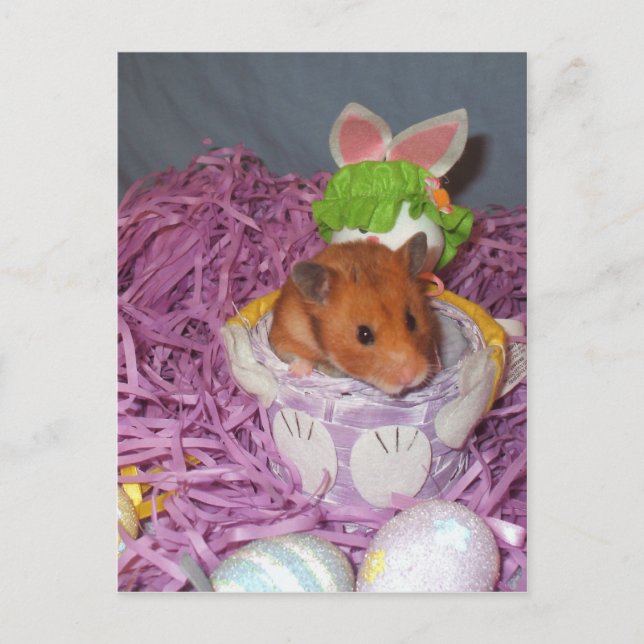 Hammy Ostern-Korb Feiertagspostkarte (Vorderseite)