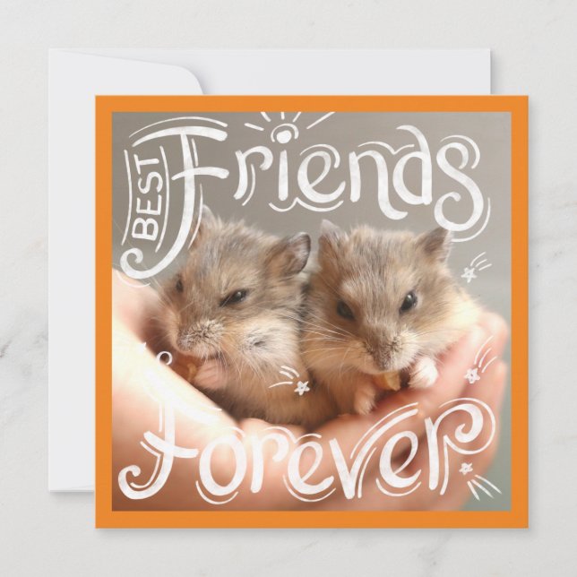 Hammyville - Hamster Best Friends Forever (Vorderseite)