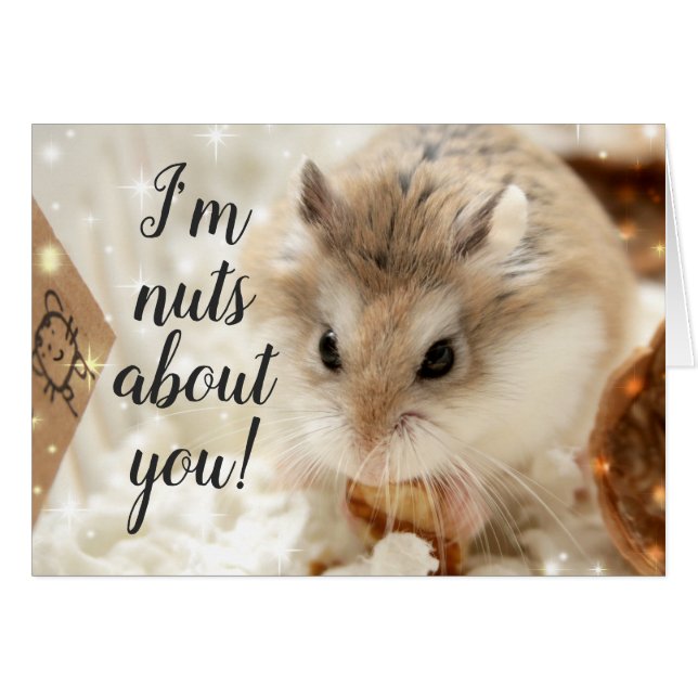 Hammyville - Hamster Nuts About You (Vorderseite (Horizontal))