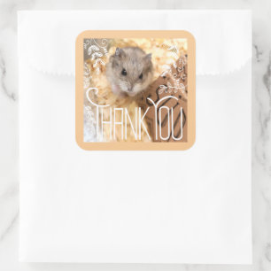 Hammyville - Hamster Vielen Dank Quadratischer Aufkleber