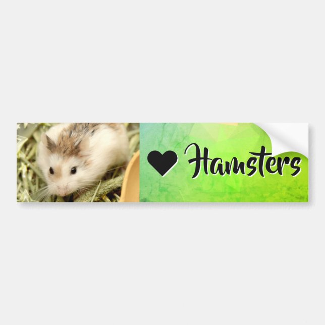 Hammyville - I Liebe Hamster Autoaufkleber (Vorne)