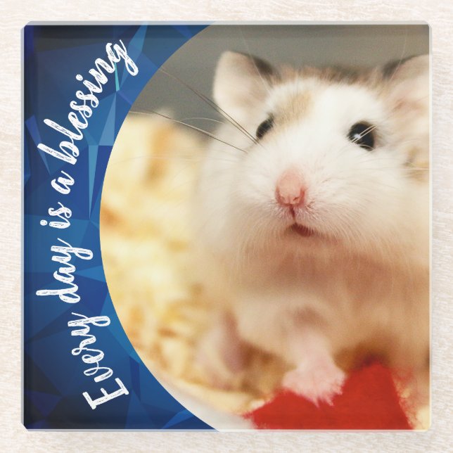 Hammyville - Niedlich Robo Hamster Glasuntersetzer (Vorderseite)