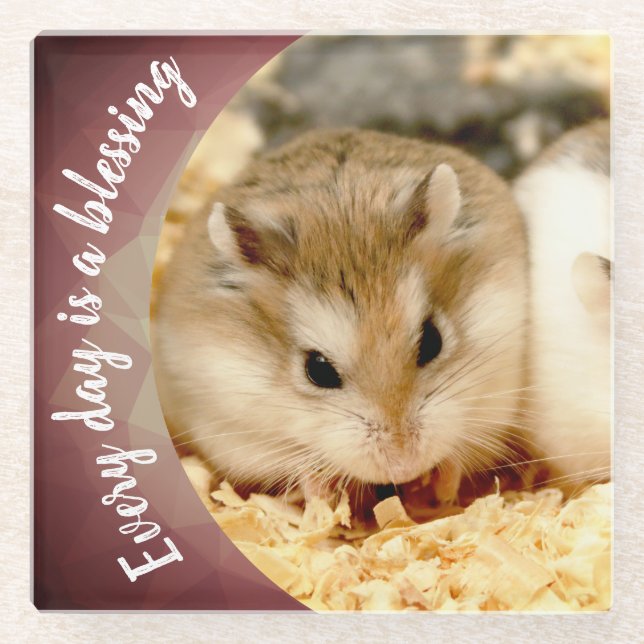 Hammyville - Niedlich Robo Hamster Glasuntersetzer (Vorderseite)