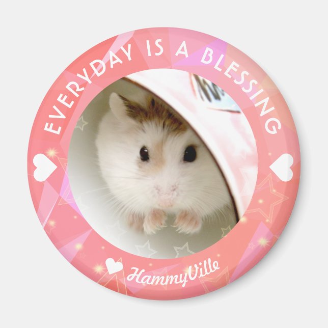 Hammyville - Niedlich Robo Hamster Magnet (Vorne)