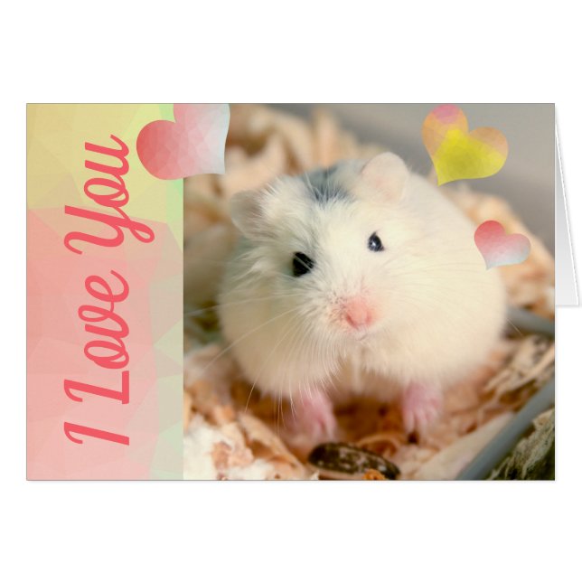 HammyVille - Niedlich Robo Hamster Valentine (Vorderseite (Horizontal))