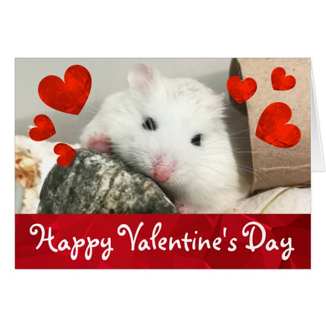 HammyVille - Niedlich Robo Hamster Valentine (Vorderseite (Horizontal))