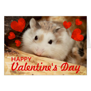 HammyVille - Niedlich Robo Hamster Valentine