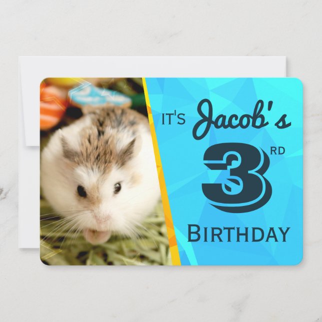 HammyVille - Niedliche Hamster Geburtstagseinladun Einladung (Vorderseite)