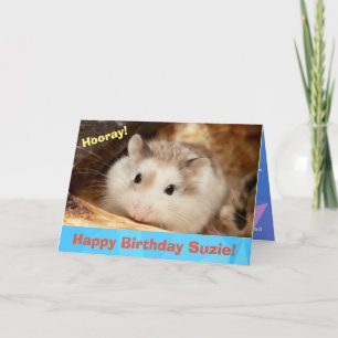Hammyville - Niedliche Hamster Happy Birthday Card Karte