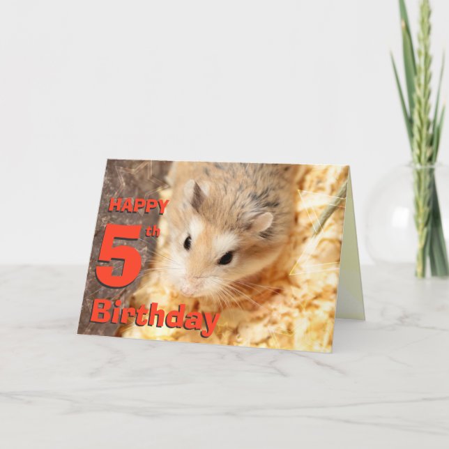 Hammyville - Niedliche Hamster Happy Birthday Card Karte (Vorderseite)