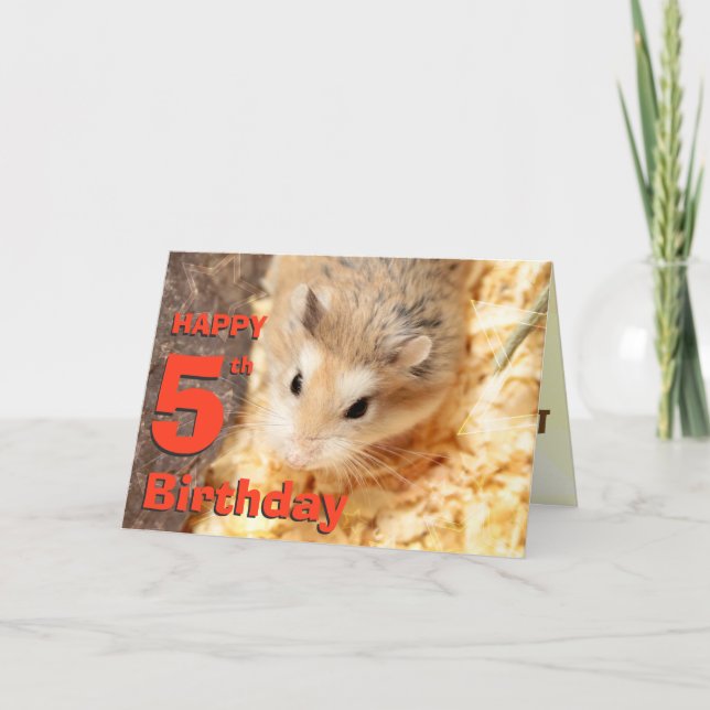 Hammyville - Niedliche Hamster Happy Birthday Card Karte (Vorderseite)