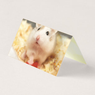Hammyville - Niedlicher Hamster