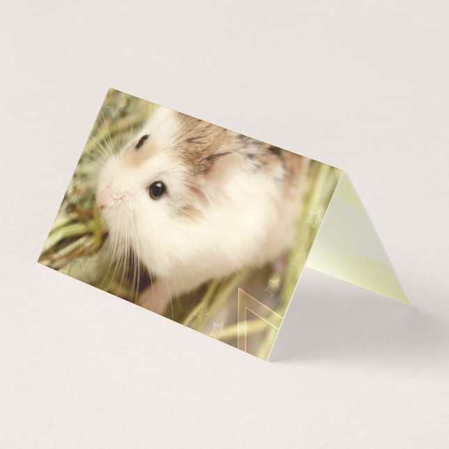 Hammyville - Niedlicher Hamster (Vorderseite)