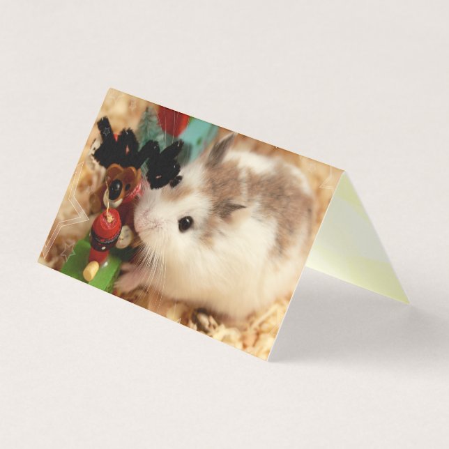 Hammyville - Niedlicher Hamster (Vorderseite)