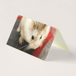 Hammyville - Niedlicher Hamster