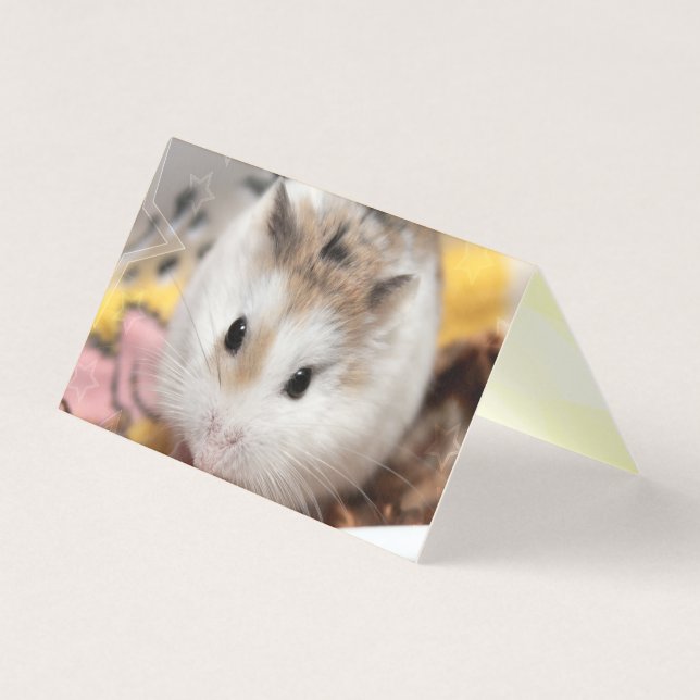 Hammyville - Niedlicher Hamster (Vorderseite)