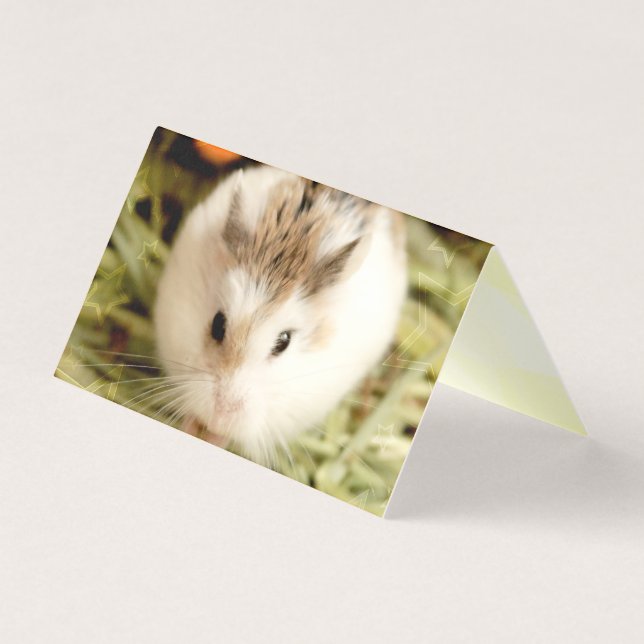 Hammyville - Niedlicher Hamster (Vorderseite)