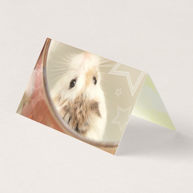Hammyville - Niedlicher Hamster (Vorderseite)