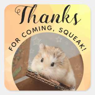 HammyVille - Niedlicher Hamster Danke für das Komm Quadratischer Aufkleber